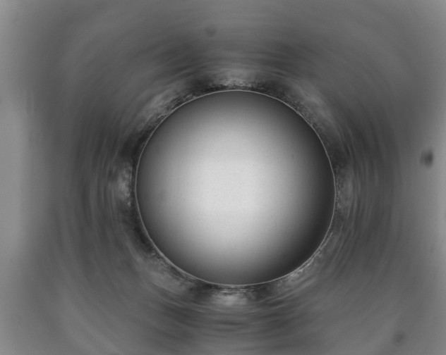 X0000090700175200707271117