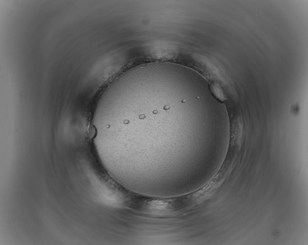 X0000090700176200707271117