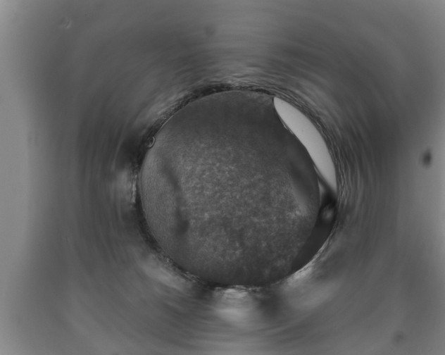 X0000090700180200707271117