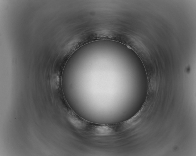 X0000090700183200707271117