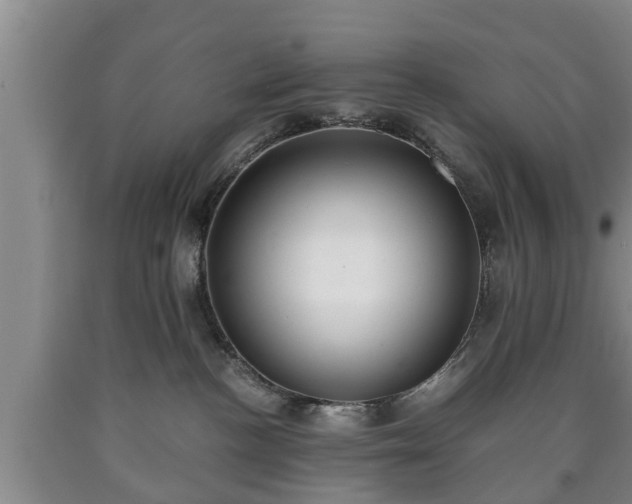 X0000090700188200707271117