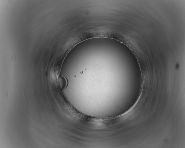 X0000090700190200707271117