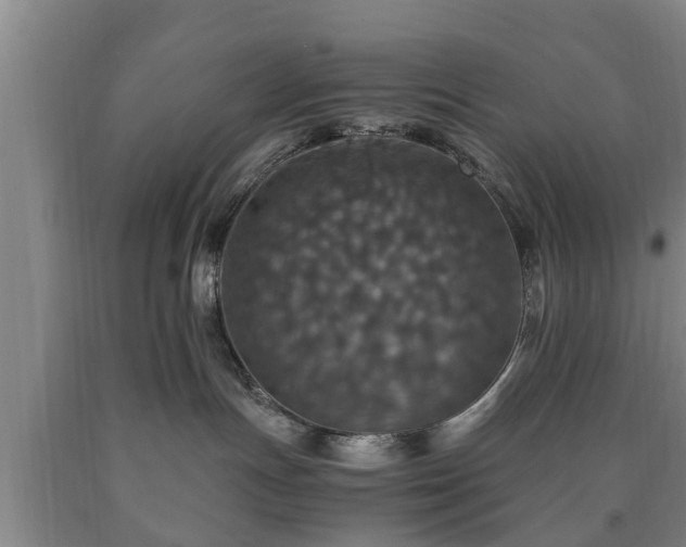 X0000090700191200707271117