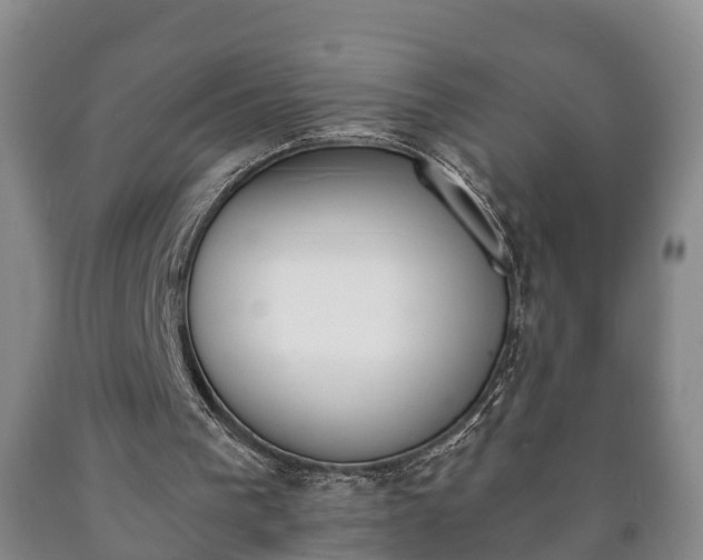 X0000090700193200707271116