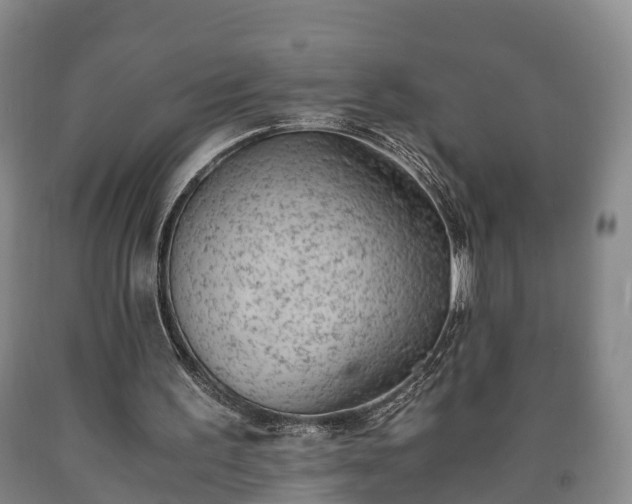 X0000090700195200707271116