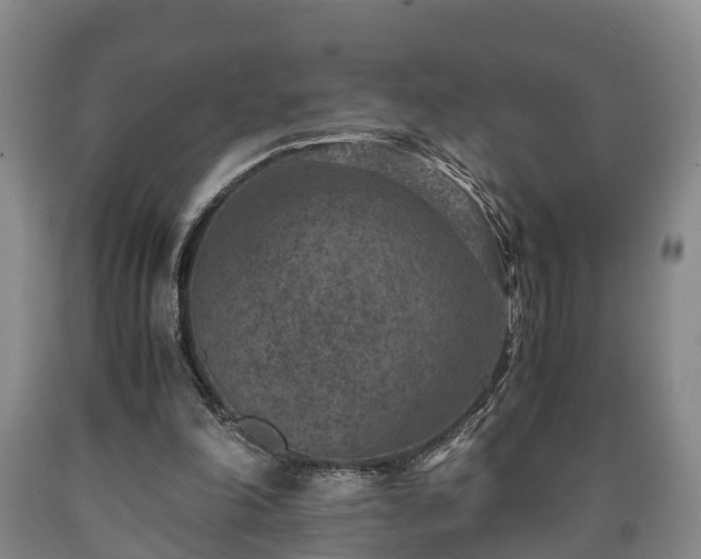 X0000090700198200707271116