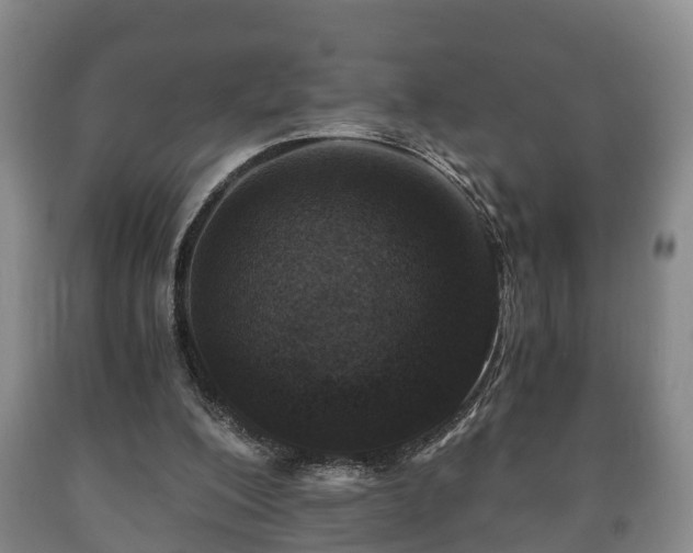 X0000090700200200707271116