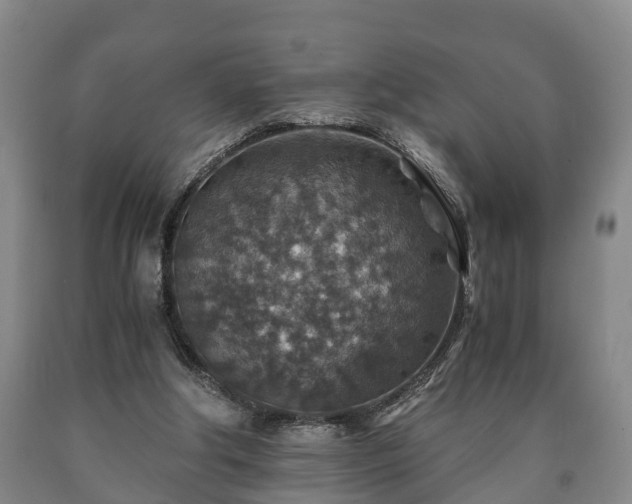 X0000090700202200707271116