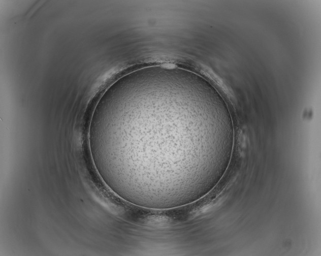 X0000090700203200707271116