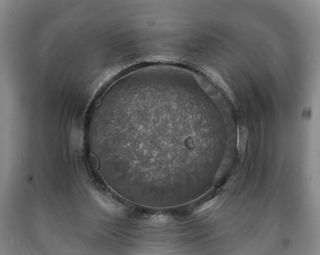 X0000090700204200707271116