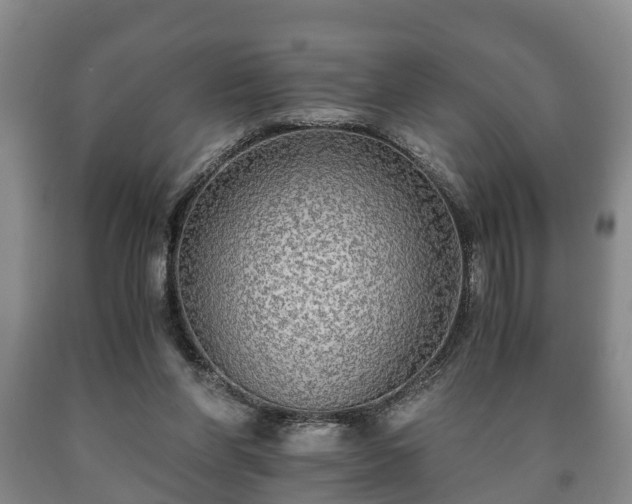 X0000090700206200707271116