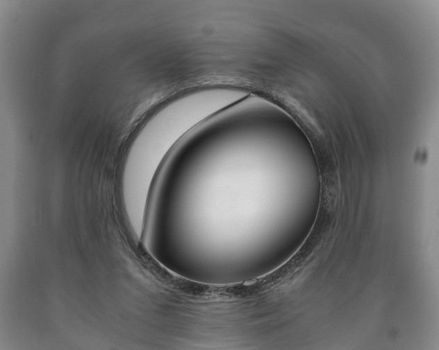 X0000090700207200707271116