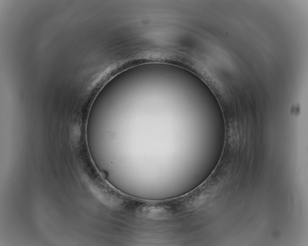 X0000090700208200707271116