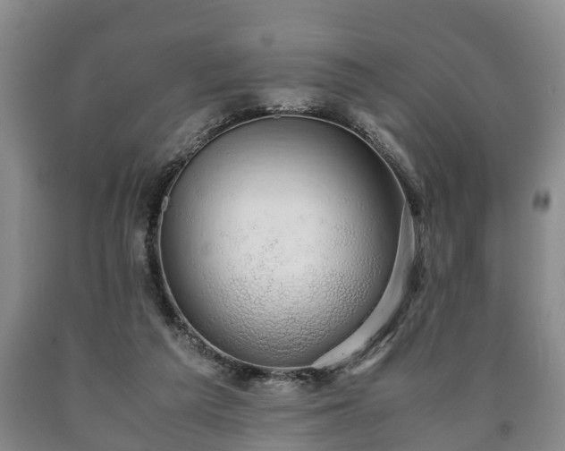 X0000090700209200707271116