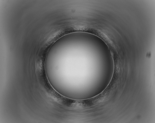 X0000090700211200707271116