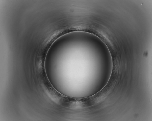 X0000090700212200707271116