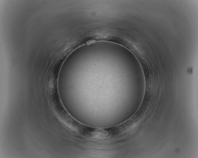 X0000090700215200707271116