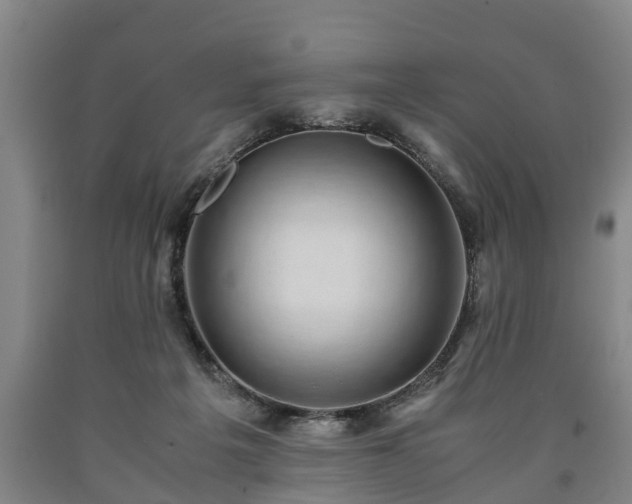 X0000090700217200707271116