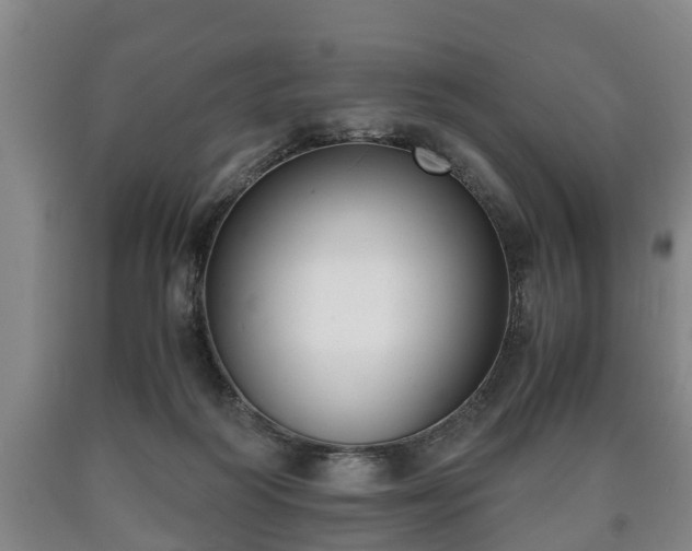 X0000090700218200707271116