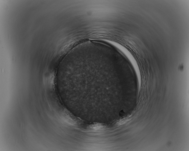 X0000090700219200707271116