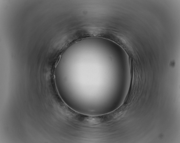 X0000090700221200707271116