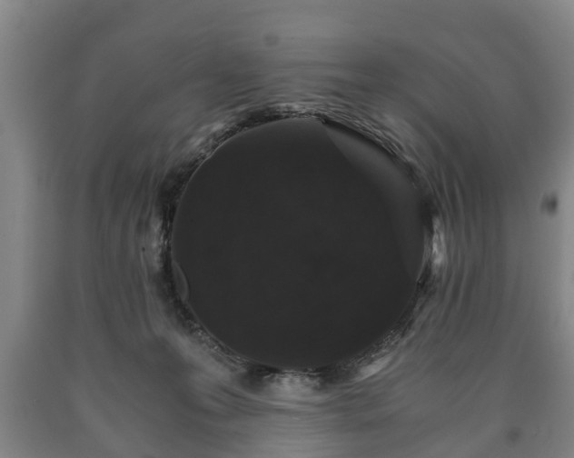 X0000090700223200707271116