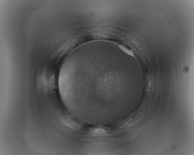 X0000090700224200707271116