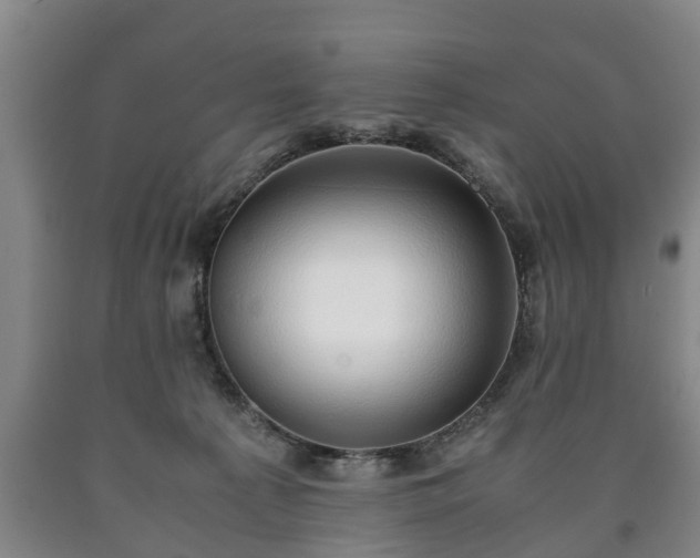 X0000090700225200707271116