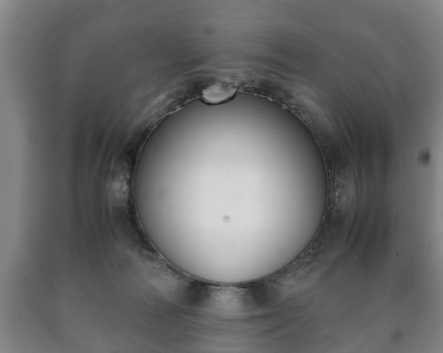 X0000090700226200707271116