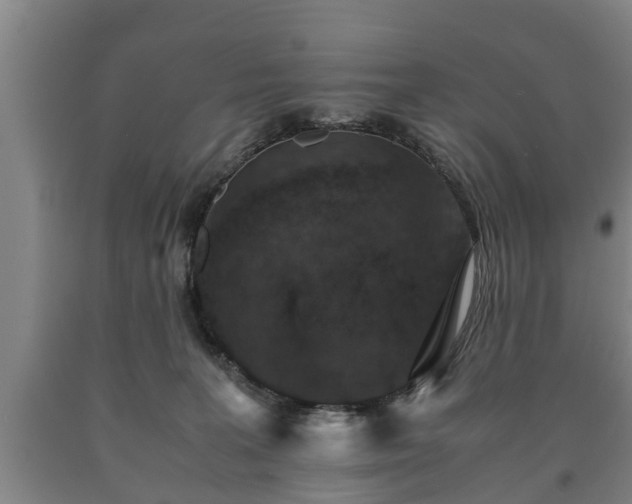 X0000090700227200707271116