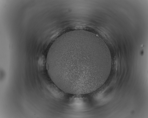 X0000090700228200707271116