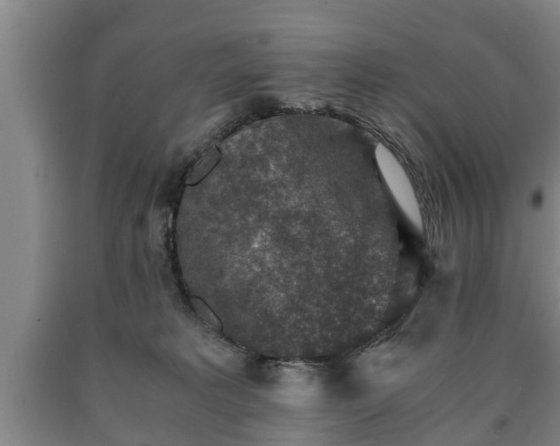 X0000090700229200707271116