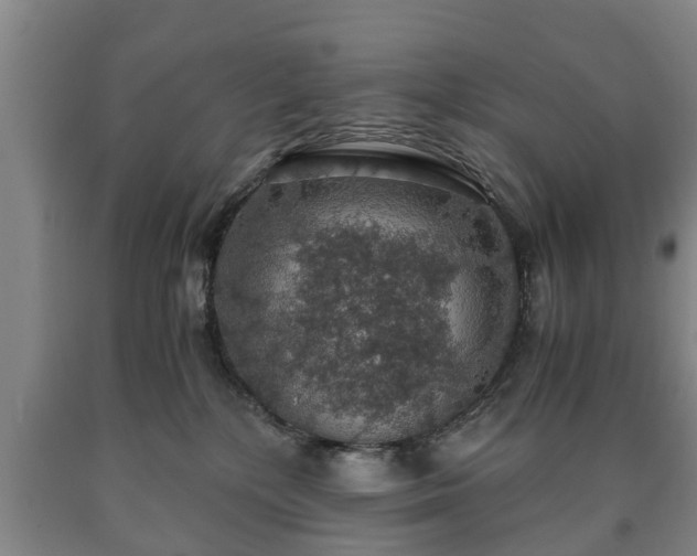 X0000090700232200707271116