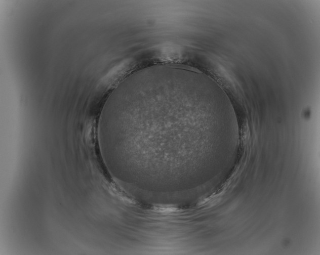 X0000090700233200707271116