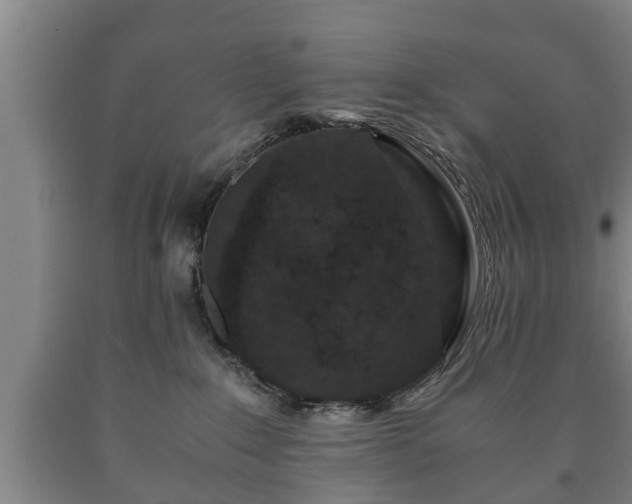 X0000090700235200707271116