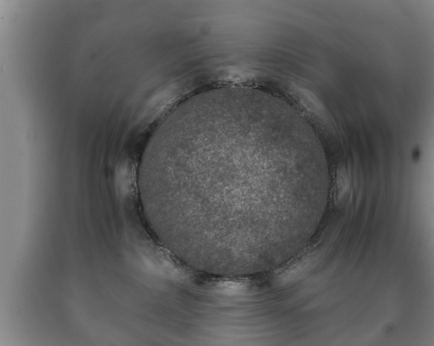 X0000090700236200707271116