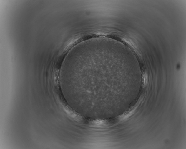 X0000090700237200707271116