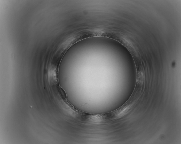 X0000090700238200707271116