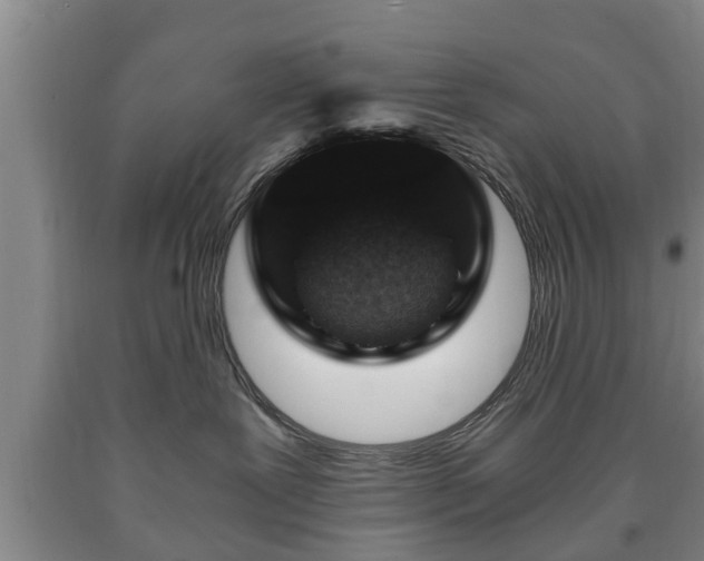 X0000090700239200707271116