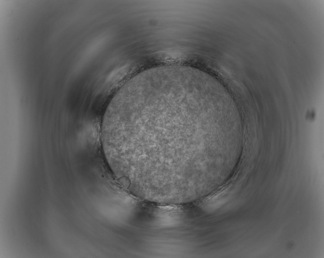 X0000090700240200707271116