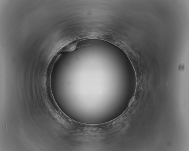 X0000090700242200707271115