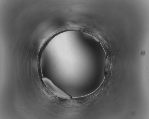 X0000090700244200707271115