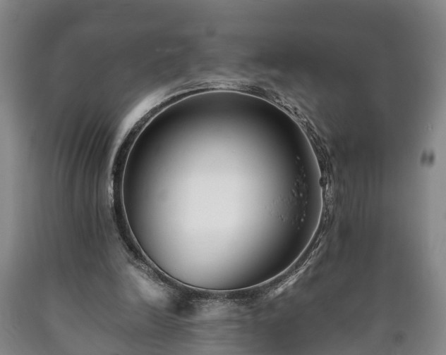 X0000090700246200707271115