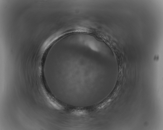 X0000090700247200707271115