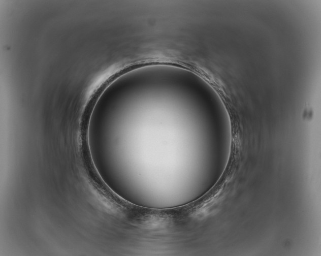 X0000090700248200707271115