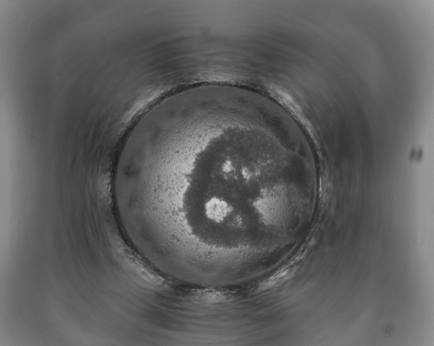 X0000090700249200707271115