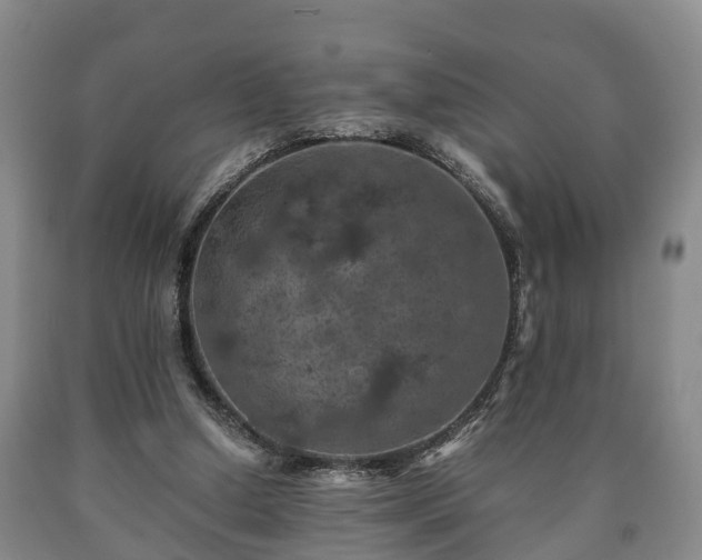 X0000090700250200707271115