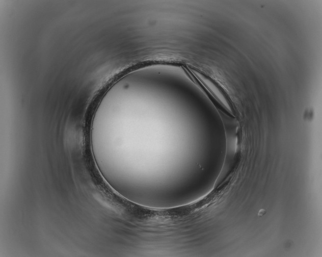 X0000090700252200707271115