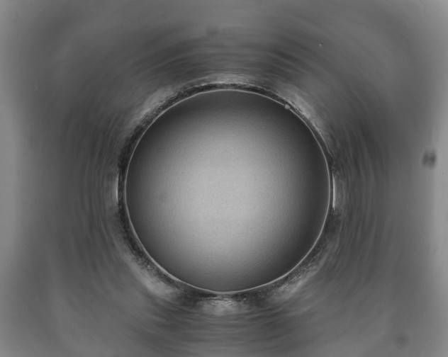 X0000090700253200707271115