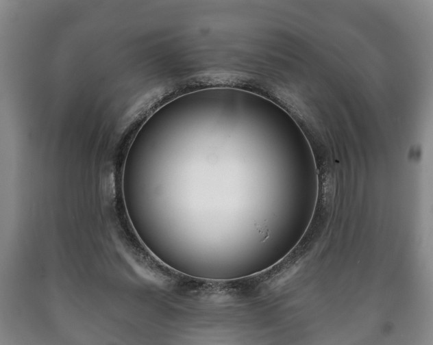 X0000090700254200707271115